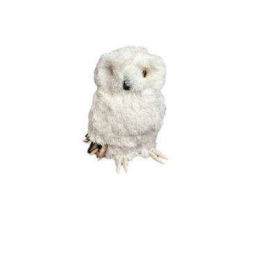 Small Decorative White Owl